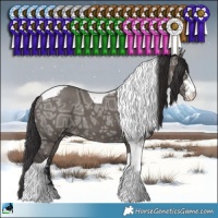 Horse Color:Smoky Grullo Ice Sabino Tobiano Brindle 