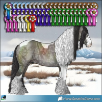 Horse Color:Smoky Grullo Ice Sabino Tobiano Brindle 