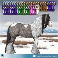 Horse Color:Smoky Grullo Ice Sabino Tobiano Brindle 