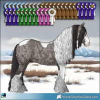 Horse Color:Smoky Grullo Ice Sabino Tobiano Brindle