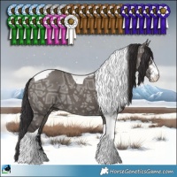 Horse Color:Smoky Grullo Ice Sabino Tobiano Brindle
