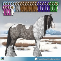Horse Color:Smoky Grullo Ice Sabino Tobiano Brindle