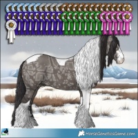 Horse Color:Smoky Grullo Ice Sabino Tobiano Brindle 