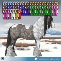 Horse Color:Smoky Grullo Ice Sabino Tobiano Brindle