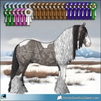 Horse Color:Smoky Grullo Ice Sabino Tobiano Brindle 