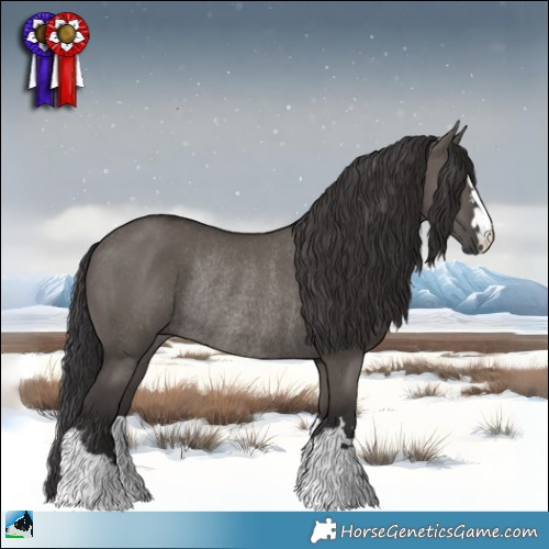 Horse Color:Smoky Grullo Mushroom Rabicano 