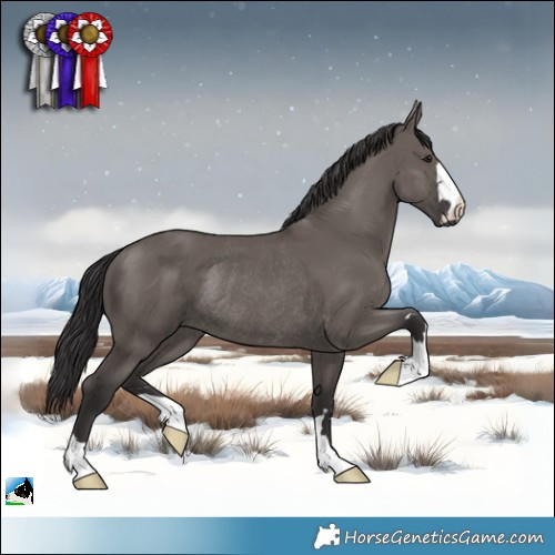 Horse Color:Smoky Grullo Mushroom Rabicano 