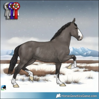 Horse Color:Smoky Grullo Mushroom Rabicano 