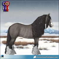 Horse Color:Smoky Grullo Mushroom Rabicano 