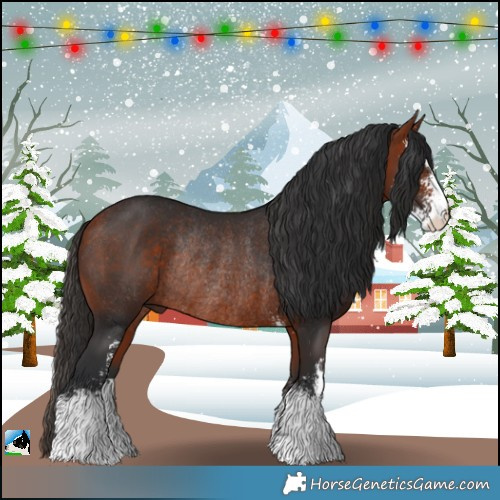 Horse Color:Bay Sabino Rabicano 