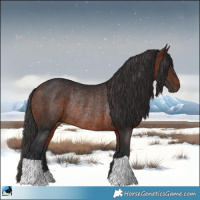 Horse Color:Brown Rabicano