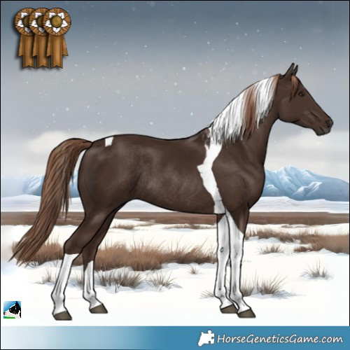 Horse Color:Liver Chestnut Tobiano Rabicano 