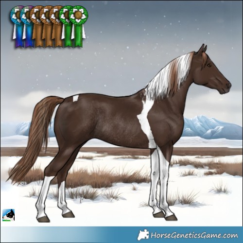 Horse Color:Liver Chestnut Tobiano Rabicano 