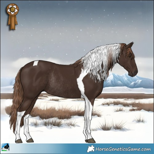 Horse Color:Liver Chestnut Tobiano Rabicano 