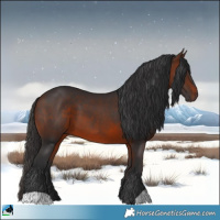 Horse Color:Brown 