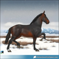 Horse Color:Brown 