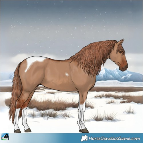 Horse Color:Red Dun Tobiano 