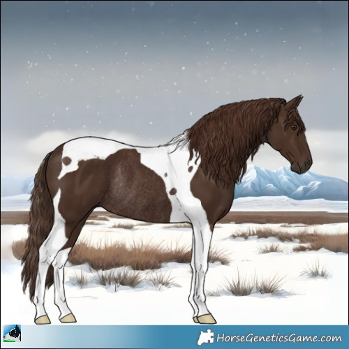 Horse Color:Liver Chestnut Tobiano Rabicano 