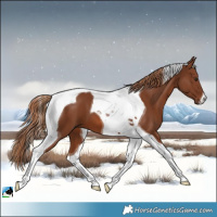 Horse Color:Chestnut Tobiano 