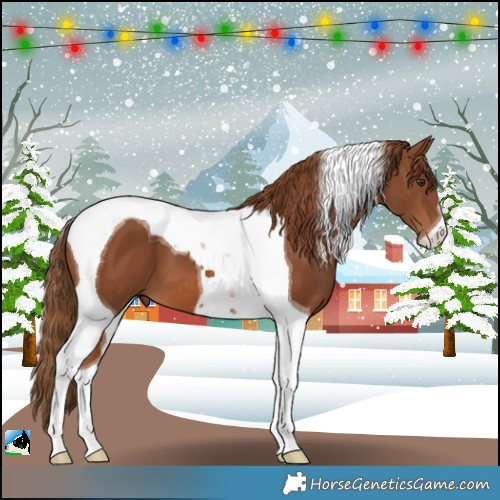 Horse Color:Chestnut Tobiano 