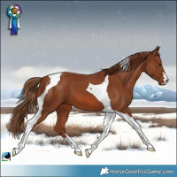 Horse Color:Chestnut Tobiano 