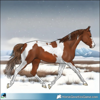 Horse Color:Chestnut Tobiano 