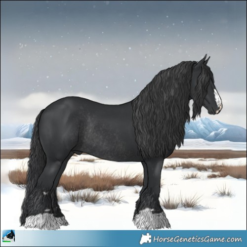 Horse Color:Black Rabicano 