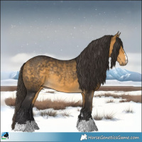 Horse Color:Buckskin Mushroom Rabicano