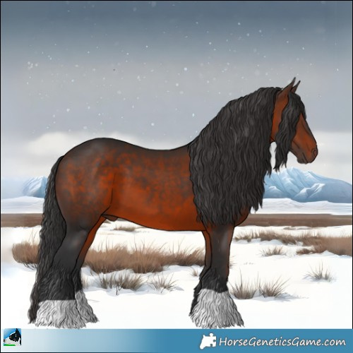 Horse Color:Brown 
