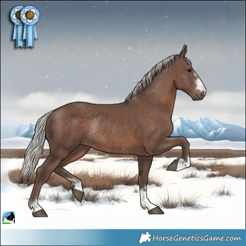 Horse Color:Silver Black Mushroom Rabicano