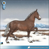 Horse Color:Silver Black Mushroom Rabicano