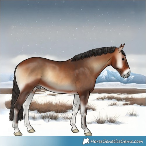 Horse Color:Bay Onyx 