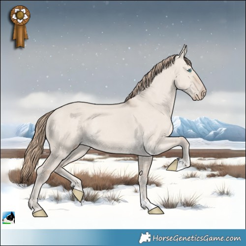 Horse Color:Smoky Creme Dun Mushroom Rabicano 