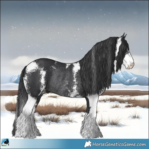 Horse Color:Black Sabino Rabicano 