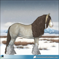 Horse Color:Classic Cream Champagne Ice Rabicano 