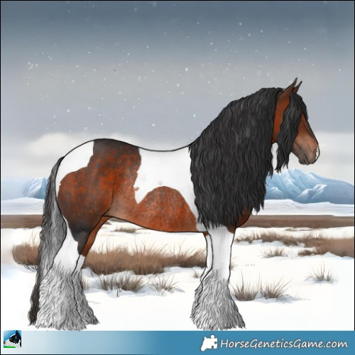 Horse Color:Brown Tobiano Rabicano 