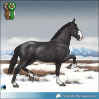 Horse Color:Smoky Black Mushroom Rabicano 