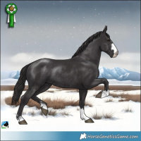 Horse Color:Smoky Black Mushroom Rabicano