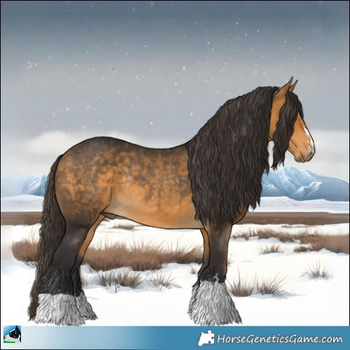 Horse Color:Buckskin Rabicano 