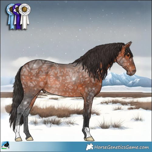 Horse Color:Brown Ice Rabicano 