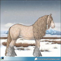 Horse Color:Perlino Ice Rabicano 