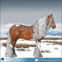 Horse Color:Silver Brown Ice Tobiano