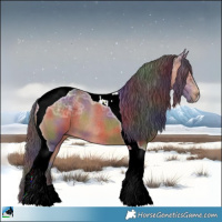 Horse Color:Nacre Bay Ice Tobiano Rabicano