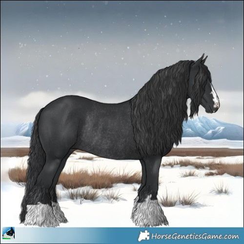Horse Color:Black Rabicano 