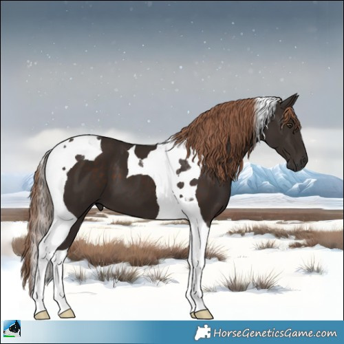 Horse Color:Liver Chestnut Tobiano 