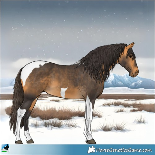 Horse Color:Buckskin Tobiano 