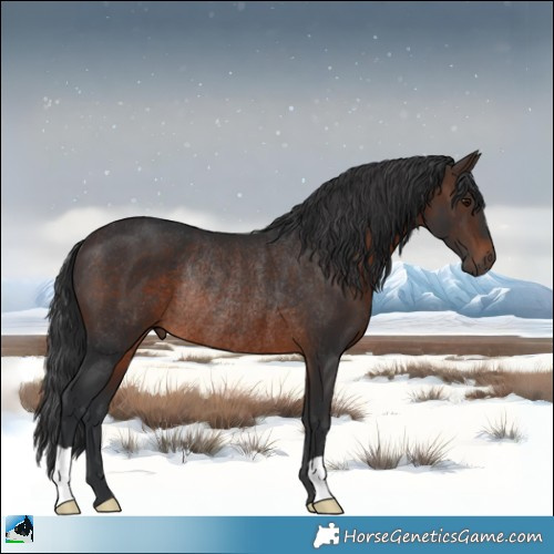 Horse Color:Brown Rabicano 