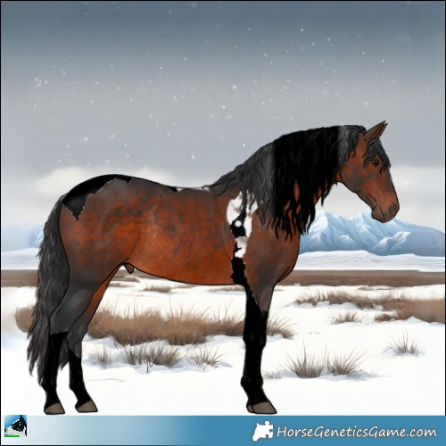 Horse Color:Brown Tobiano Rabicano 