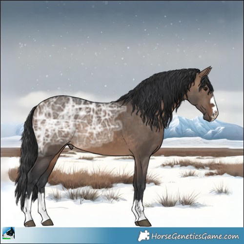 Horse Color:Brown Ice Dun 