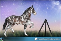 Horse Color:Brown Mushroom Sabino Rabicano